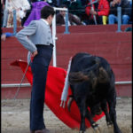Fernando González toreando al natural con un corte muy vertical. (FOTO: Gallardo)