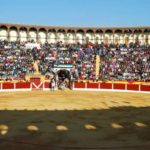 almendralejo-campos-4