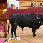 parejo-px