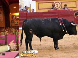 «Ha sido un año en el que he madurado a pasos agigantados»