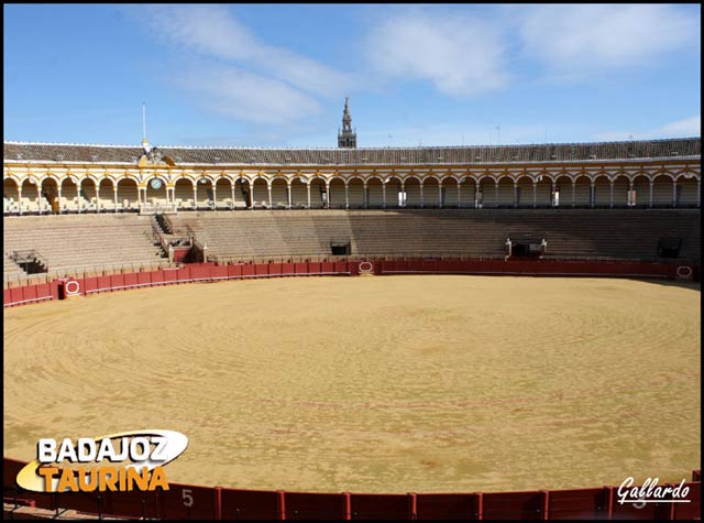 La Maestranza en todo su esplendor. (FOTO: Gallardo)