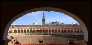 La Maestranza dormitando bajo el sol cálido del invierno sevillano. (FOTO: Gallardo)