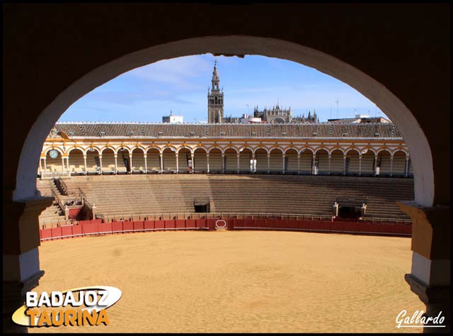 La Maestranza dormitando bajo el sol cálido del invierno sevillano. (FOTO: Gallardo)