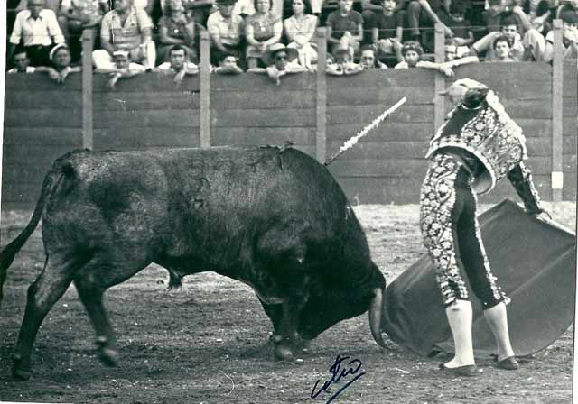 Ante un ejemplar de sangre santacoloma.