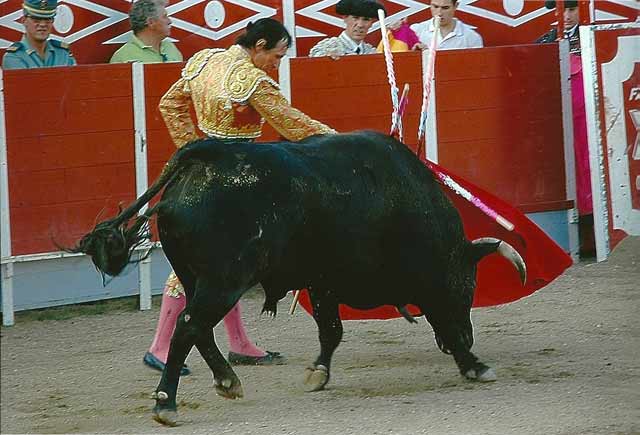 A pesar e los años, su afición permanece imperecedera.