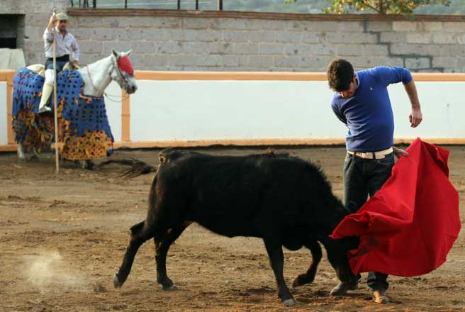 Alejandro Talavante.