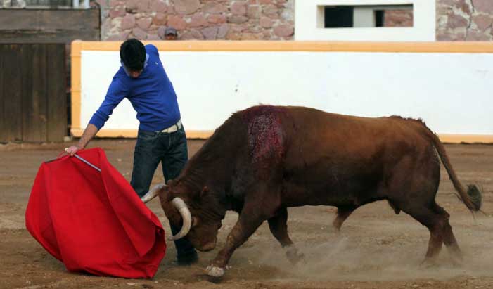 Alejandro Talavante.