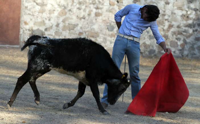 Tulio Salguero.