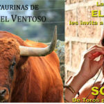 valencia_cabeza