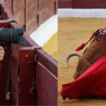 gallardo-morante-px