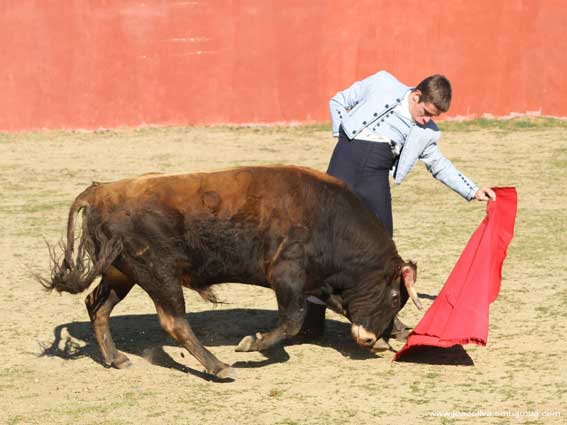 ...para buscar la puesta a punto en el toreo.