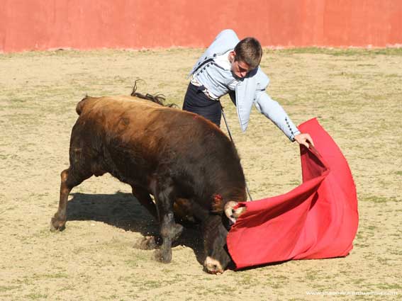 Embestidas que rebosan la muleta...