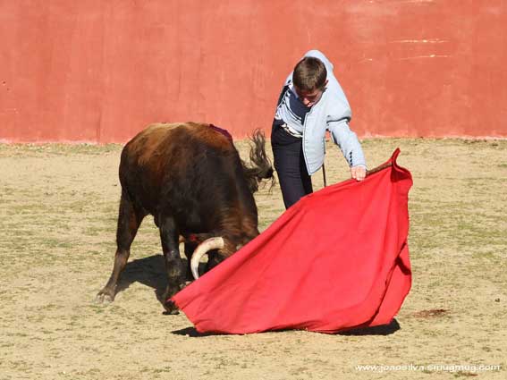 ...permitiendo estar a gusto en la cara del toro.