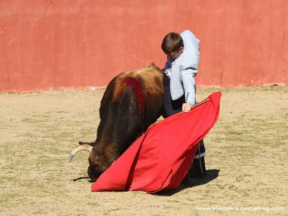 Los ejemplares de Juan Albarrán son el aliado perfecto.