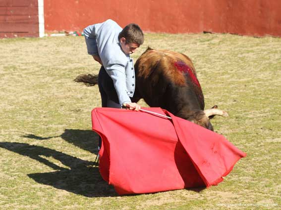 ...por uno y otro pitón.