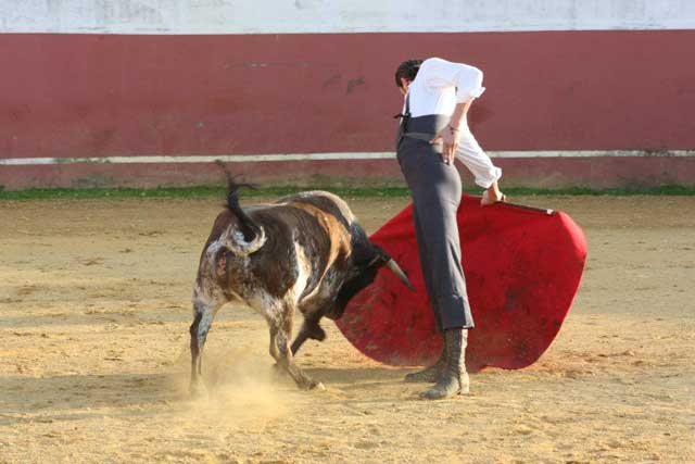 Alargando la mano.