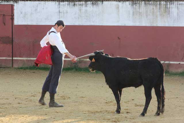 Preparado para reconquistar Perú con la franela y el estoque.