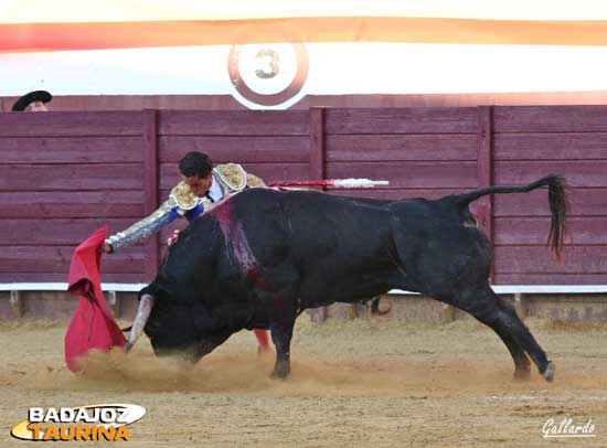 Llevando toreado a uno de los dos cinqueños que mató. (FOTO:Gallardo)