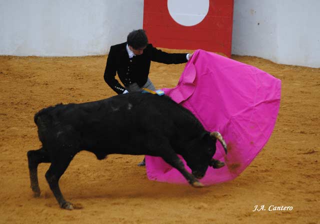 Solís abriéndose de capa. 