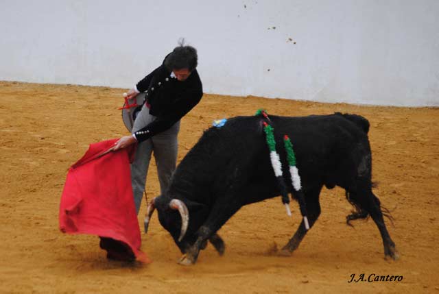 Solís en su inicio de faena de muleta. (FOTO: J.A.Cantero)