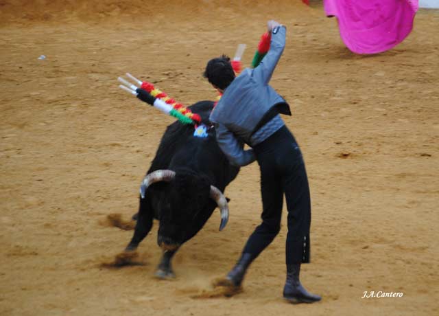 Par al violín con el cerró el tercio.