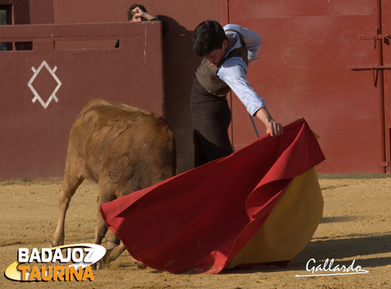 Alargando la embestida al natural.