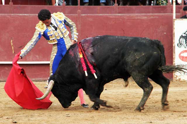 Mandando en el derechazo. (FOTO: Alfonso Plano)