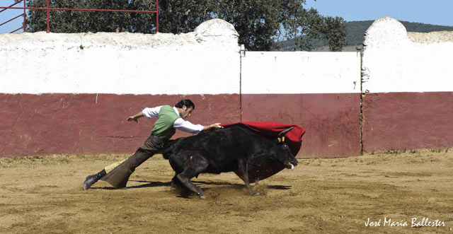 Inicio del trasteo de muleta.