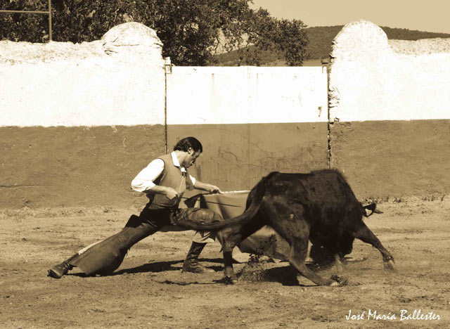 El muletazo en toda su extensión.