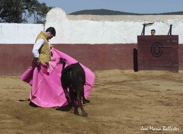 Que sueña con verónicas de alternativa.