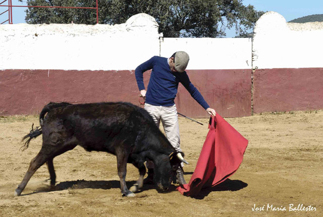 Que salió a tres vacas.