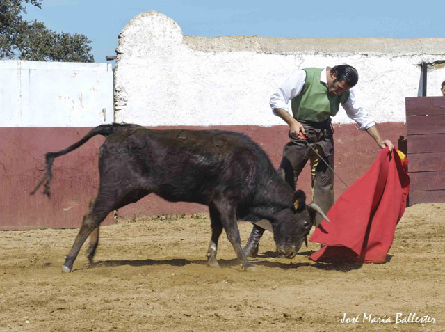 ¡Gustándose!