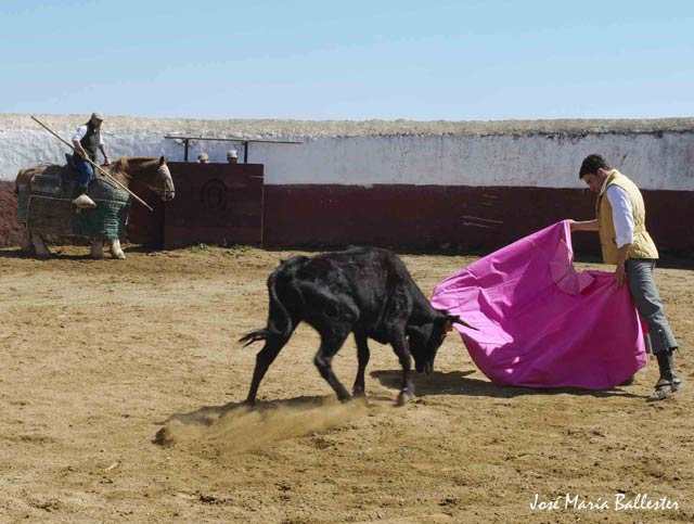 Con las que volver a sentir la magia del toreo.