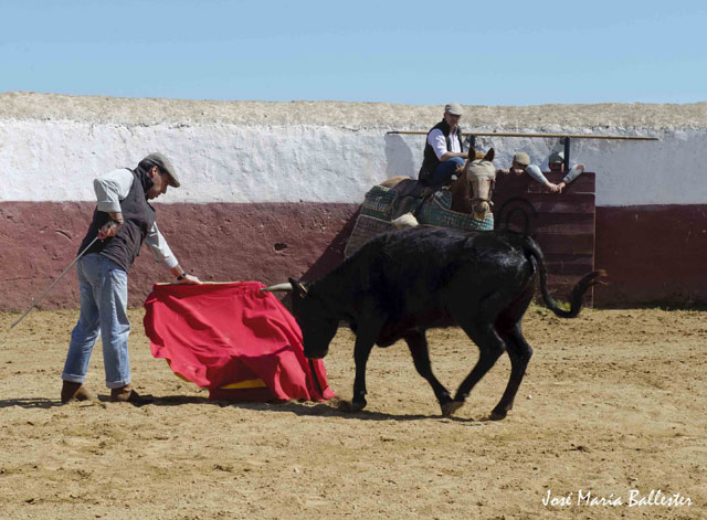 Manuel Albarrán también quiso probar la bravura de sus ejemplares.