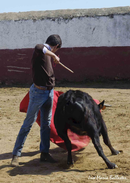 Que también actuó en otras tantas vacas.