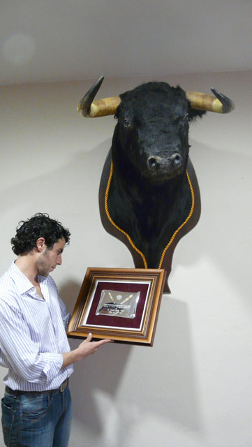 Mirando el trofeo de el Club Taurino de Badajoz junto al novillo de su debut con caballos. (FOTO:Gª de Elexalde)