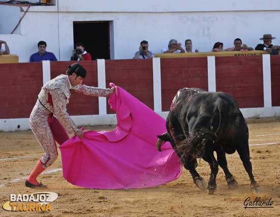 Templando con el capote en Villanueva del Fresno. (FOTO:Gallardo)