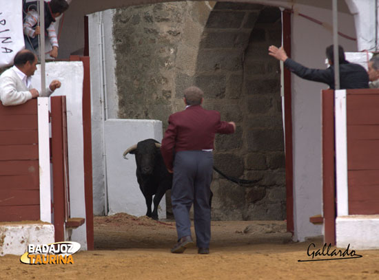 Y el torilero remata la faena.