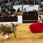 Tomás Angulo citando de lejos a su primero. (FOTO: Gallardo)