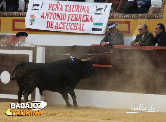 D. José Luis, ¿está usted ahí?