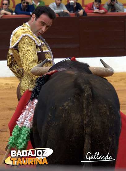 Enrique Ponce en la matinal de Olivenza. (FOTOS:Gallardo)