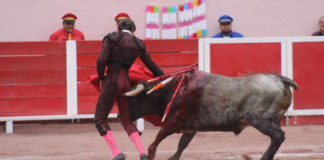 FOTO:suertematador.com