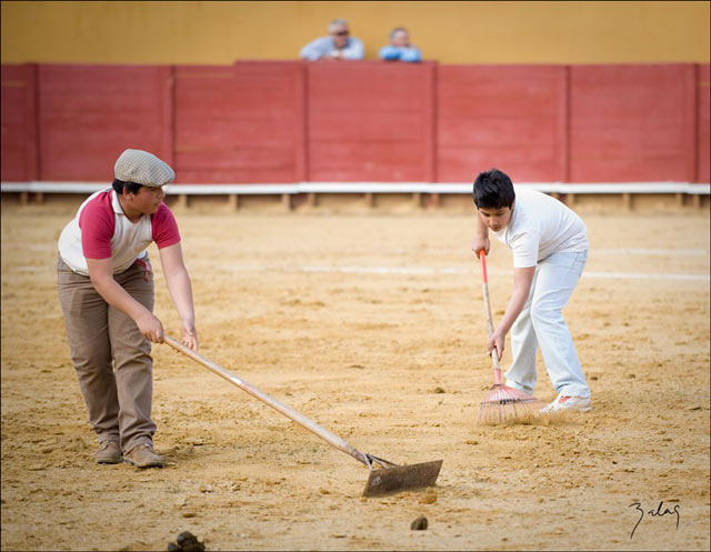 ¿Hojas secas en el ruedo?