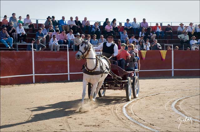 Corre, corre, caballito...