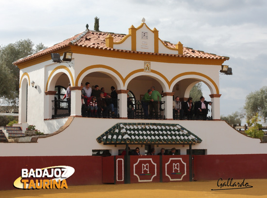 El palco con los invitados expectantes ante el juego de las reses.