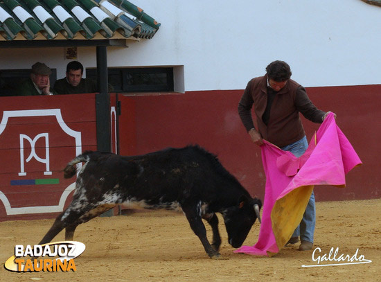 Antonio Muñoz lanceando a 'Pajarita'