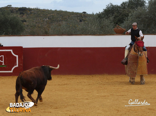 Antonio Lavado picó a los dos novillos que lidió Uceda.