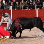 Casquinha llevando embebido a su primero. (FOTO:Gallardo)