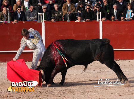 Casquinha llevando embebido a su primero. (FOTO:Gallardo)