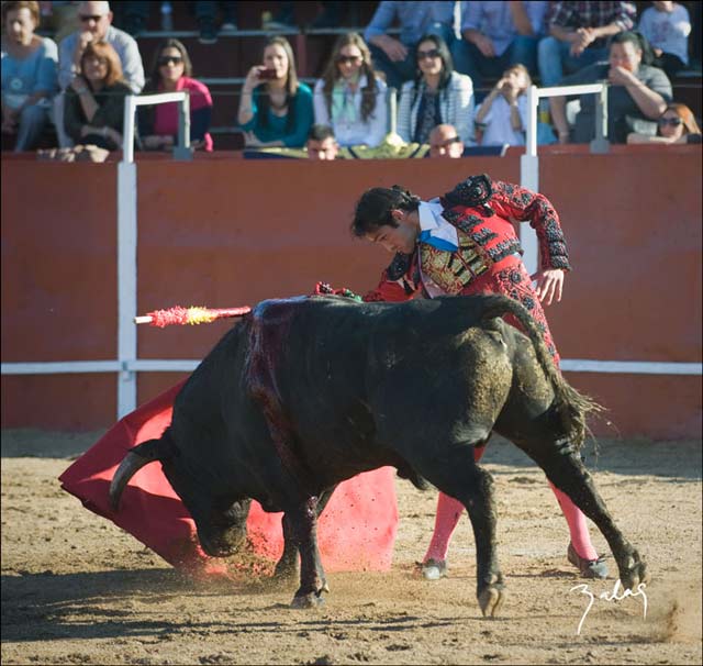 Miguelín Murillo.